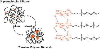 Graphical abstract: Dynamically tuning transient silicone polymer networks with hydrogen bonding