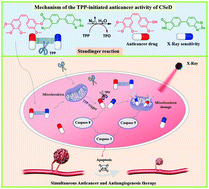 Graphical abstract: The investigation and bioorthogonal anticancer activity enhancement of a triphenylphosphine-labile prodrug of seleno-combretastatin-4