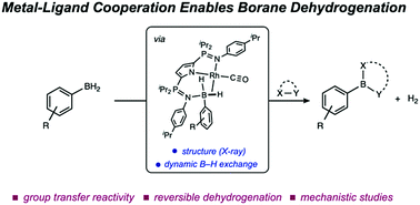 Graphical abstract: Reversible dehydrogenation of a primary aryl borane