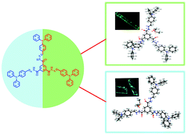 Graphical abstract: Multifunctional properties of a star-shaped triphenylamine-benzene-1,3,5-tricarbohydrazide fluorescent molecule containing multiple flexible chains