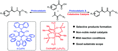 Graphical abstract: Selective photoredox decarboxylation of α-ketoacids to allylic ketones and 1,4-dicarbonyl compounds dependent on cobaloxime catalysis