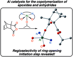 Graphical abstract: Mechanistic insight into initiation and regioselectivity in the copolymerization of epoxides and anhydrides by Al complexes