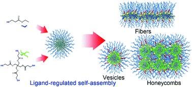 Graphical abstract: Ligand-regulated self-assembly of luminescent Au nanoparticles towards diverse controllable superstructures