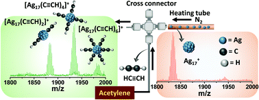 Graphical abstract: Reaction between Ag17+ and acetylene outside the mass spectrometer: dehydrogenation in the gas phase