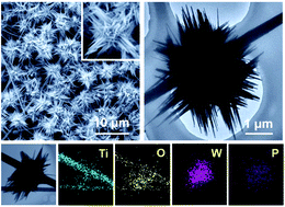 Graphical abstract: P-doped WO3 flowers fixed on a TiO2 nanofibrous membrane for enhanced electroreduction of N2