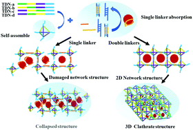 Graphical abstract: Programmable 3D rigid clathrate hydrogels based on self-assembly of tetrahedral DNA and linker PCR products