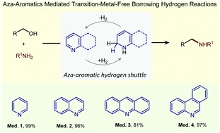 Graphical abstract: Pyridine mediated transition-metal-free direct alkylation of anilines using alcohols via borrowing hydrogen conditions