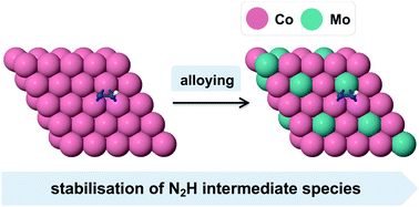 Graphical abstract: In silico design of novel NRR electrocatalysts: cobalt–molybdenum alloys