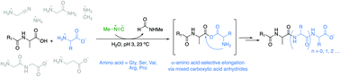 Graphical abstract: pH-Dependent peptide bond formation by the selective coupling of α-amino acids in water