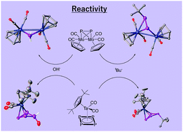 Graphical abstract: The reaction behavior of [Cp2Mo2(CO)4(μ,η2:2-P2)] and [Cp′′Ta(CO)2(η4-P4)] towards hydroxide and tert-butyl nucleophiles