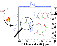Graphical abstract: Exploring the homopolar dehydrocoupling of ammonia borane by solid-state multinuclear NMR spectroscopy