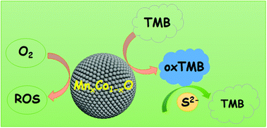 Graphical abstract: Porous manganese–cobalt oxide microspheres with tunable oxidase mimicking activity for sulfide ion colorimetric detection