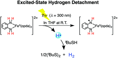 Graphical abstract: Excited-state hydrogen detachment from a tris-(o-phenylenediamine) iron(ii) complex in THF at room temperature