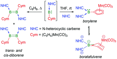 Graphical abstract: Tuneable reduction of cymantrenylboranes to diborenes or borylene-derived boratafulvenes