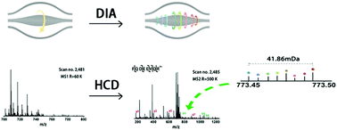 Graphical abstract: Mass defect-based carbonyl activated tags (mdCATs) for multiplex data-independent acquisition proteome quantification
