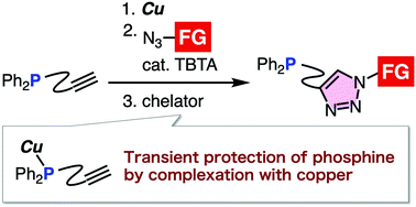 Graphical abstract: Triazole formation of phosphinyl alkynes with azides through transient protection of phosphine by copper
