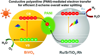 Graphical abstract: Conductive polyaniline-mediated efficient electron transfer in Z-scheme photocatalysts for enhanced overall water splitting
