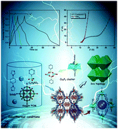 Graphical abstract: A polyoxometalate-encapsulated nanocage cluster organic framework built from {Cu4P2} units and its efficient bifunctional electrochemical performance