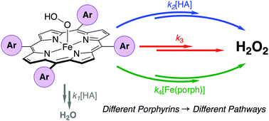 Graphical abstract: Multiple selectivity-determining mechanisms of H2O2 formation in iron porphyrin-catalysed oxygen reduction