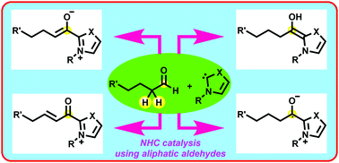 Graphical abstract: N-Heterocyclic carbene (NHC) organocatalysis using aliphatic aldehydes