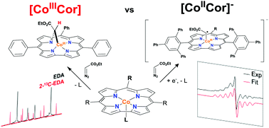 Graphical abstract: Bridging and axial carbene binding modes in cobalt corrole complexes: effect on carbene transfer