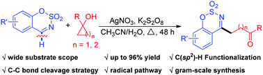 Graphical abstract: Ag-Catalyzed ring-opening of tertiary cycloalkanols for C–H functionalization of cyclic aldimines