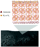 Graphical abstract: High-performance ammonia-selective MFI nanosheet membranes