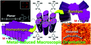 Graphical abstract: A structural parameter to link molecular geometry to macroscopic orientation in discotic liquid crystals: study of metalloporphyrin tapes