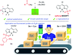 Graphical abstract: Direct sulfonylation of BODIPY dyes with sodium sulfinates through oxidative radical hydrogen substitution at the α-position