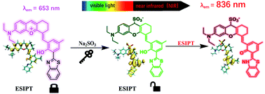 Graphical abstract: An ESIPT-induced NIR fluorescent probe to visualize mitochondrial sulfur dioxide during oxidative stress in vivo