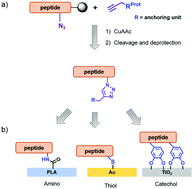 Graphical abstract: A versatile click chemistry-based approach for functionalizing biomaterials of diverse nature with bioactive peptides