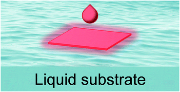 Graphical abstract: Ultra-thin two-dimensional molecular crystals grown on a liquid surface for high-performance phototransistors