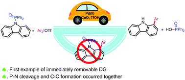 Graphical abstract: Temporary (P [[double bond, length as m-dash]] O) directing group enabled carbazole ortho arylation via palladium catalysis