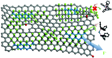 Graphical abstract: Suzuki–Miyaura reaction of C–F bonds in fluorographene
