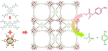 Graphical abstract: Isomer of linker for NU-1000 yields a new she-type, catalytic, and hierarchically porous, Zr-based metal–organic framework