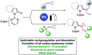 Graphical abstract: Rhodaelectro-catalyzed chemo-divergent C–H activations with alkylidenecyclopropanes for selective cyclopropylations