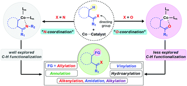 Graphical abstract: O-Directed C–H functionalization via cobaltacycles: a sustainable approach for C–C and C–heteroatom bond formations