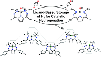 Graphical abstract: Catalytic hydrogenation enabled by ligand-based storage of hydrogen