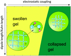 Graphical abstract: Molecular theory of the electrostatic collapse of dipolar polymer gels