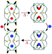 Graphical abstract: A cyclic manipulation of cage isomers via anion exchange and thermal isomerism
