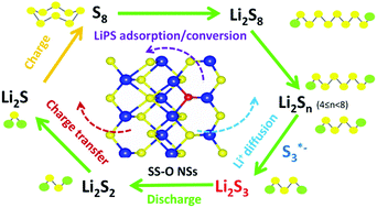 Graphical abstract: Oxygen doping in antimony sulfide nanosheets to facilitate catalytic conversion of polysulfides for lithium–sulfur batteries