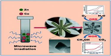 Graphical abstract: Lilac flower-shaped ZnCo2O4 electrocatalyst for efficient methanol oxidation and oxygen reduction reactions in an alkaline medium