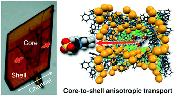 Graphical abstract: Core–shell metal–macrocycle framework (MMF): spatially selective dye inclusion through core-to-shell anisotropic transport along crystalline 1D-channels connected by epitaxial growth