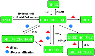 Graphical abstract: Synthesis, structural characterization, physicochemical properties and transformations of dehydroevodiamine and its hydrochloride salts