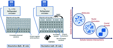 Graphical abstract: Crystal nucleation of salicylamide and a comparison with salicylic acid