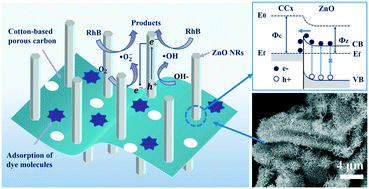 Graphical abstract: N-Doped cotton-based porous carbon/ZnO NR arrays: highly efficient hybrid photo-catalysts