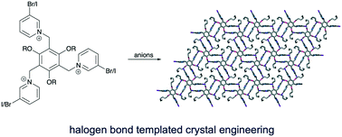 Graphical abstract: Anion templated crystal engineering of halogen bonding tripodal tris(halopyridinium) compounds