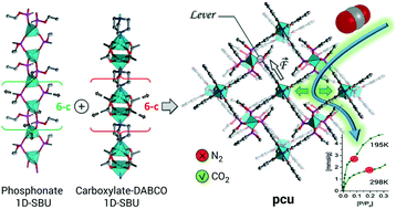 Graphical abstract: Flexible bifunctional monoethylphosphonate/carboxylates of Zn(ii) and Co(ii) reinforced with DABCO co-ligand: paradigmatic structural organization with pcu topology