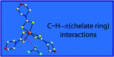 Graphical abstract: The remarkable propensity for the formation of C–H⋯π(chelate ring) interactions in the crystals of the first-row transition metal dithiocarbamates and the supramolecular architectures they sustain