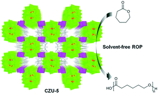 Graphical abstract: An unprecedented cobalt(ii)-containing Wells–Dawson-type tungstovanadate-based metal–organic framework as an efficient catalyst for ring-opening polymerization of ε-caprolactone